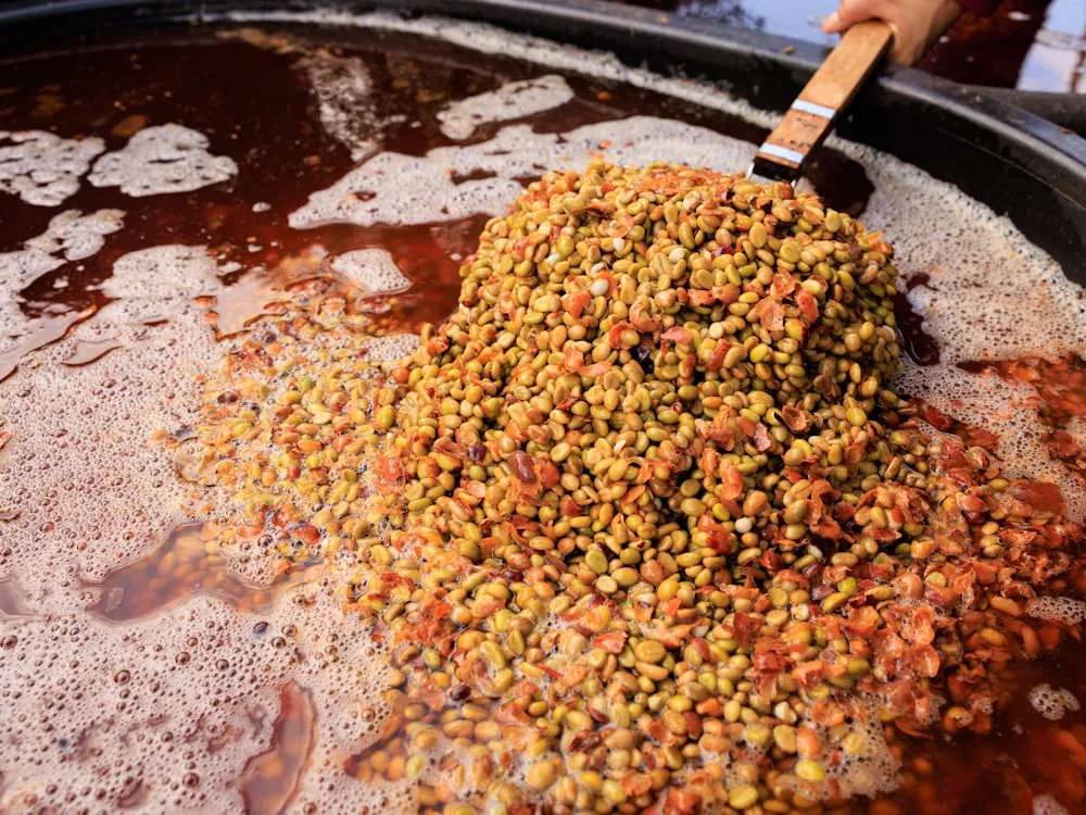 Coffee fermenting in a tank during a controlled experimental process
